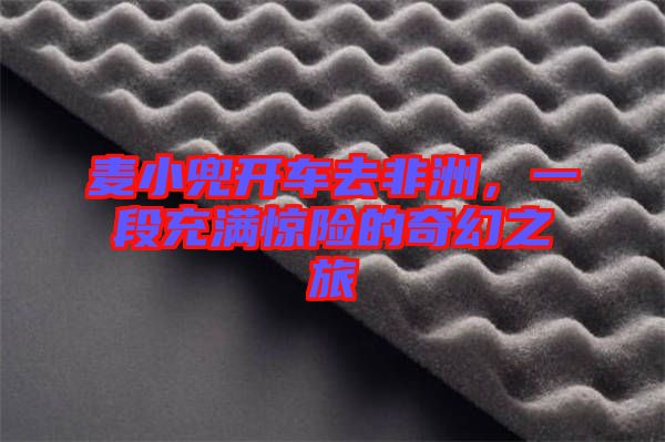 麥小兜開車去非洲,一段充滿驚險的奇幻之旅