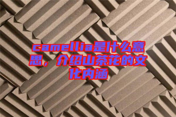 camellia是什么意思,介紹山茶花的文化內(nèi)涵