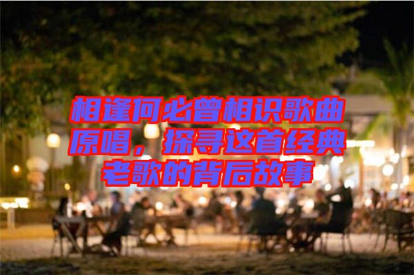 相逢何必曾相識歌曲原唱,探尋這首經典老歌的背后故事
