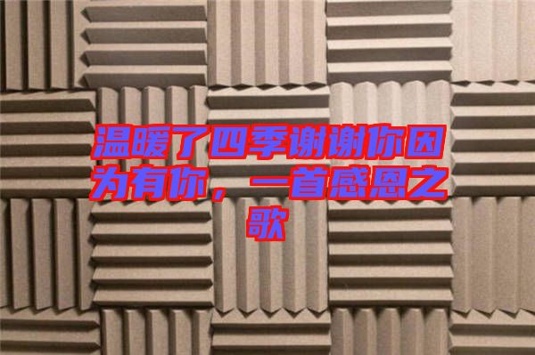 溫暖了四季謝謝你因為有你,一首感恩之歌