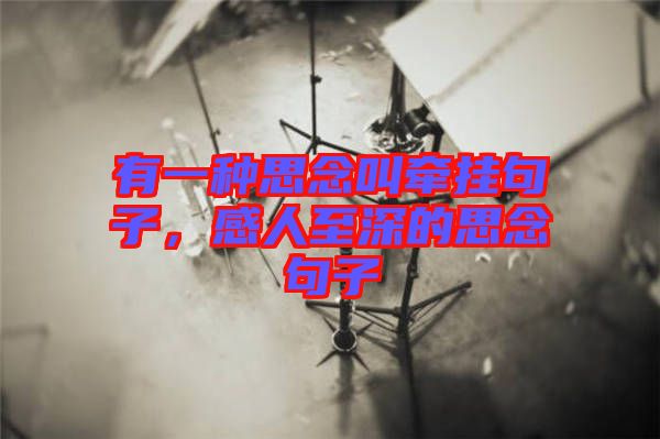 有一種思念叫牽掛句子，感人至深的思念句子