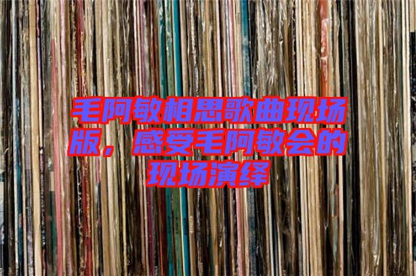 毛阿敏相思歌曲現場版,感受毛阿敏會的現場演繹