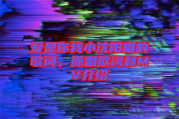 愛是你我小沈陽唱的歌詞,原唱歌詞和MV介紹