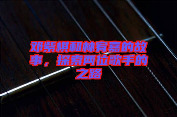 鄧紫棋和林宥嘉的故事,探索兩位歌手的之路
