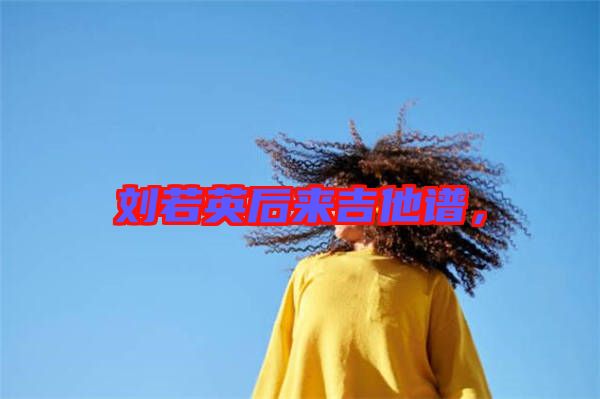 劉若英后來吉他譜,