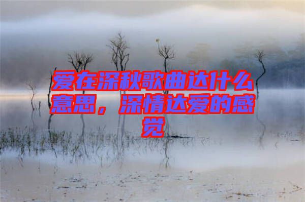 愛在深秋歌曲達什么意思,深情達愛的感覺