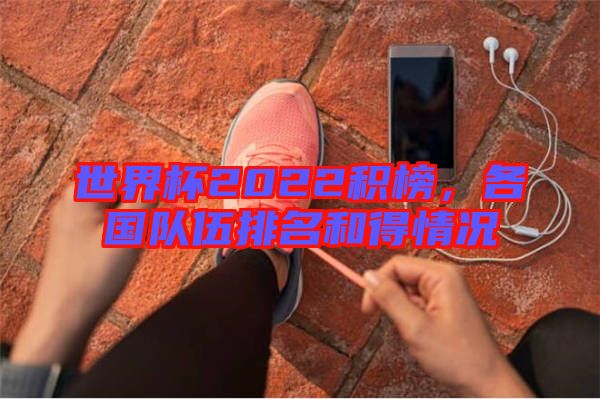 世界杯2022積榜,各國隊伍排名和得情況