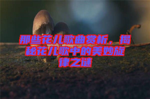 那些花兒歌曲賞析,揭秘花兒歌中的美妙旋律之謎
