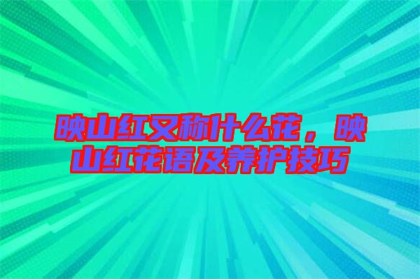 映山紅又稱什么花,映山紅花語及養護技巧