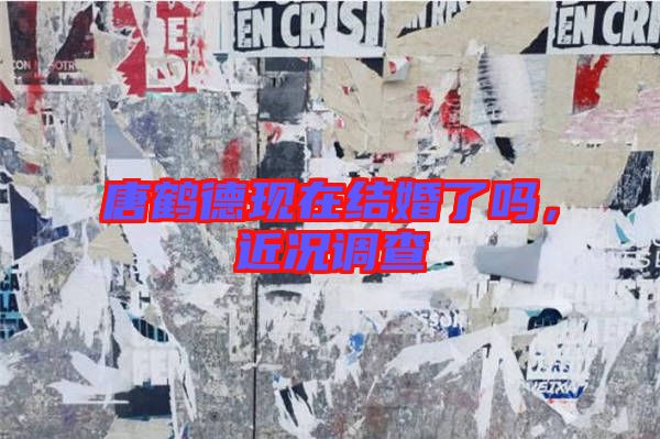 唐鶴德現(xiàn)在結(jié)婚了嗎,近況調(diào)查