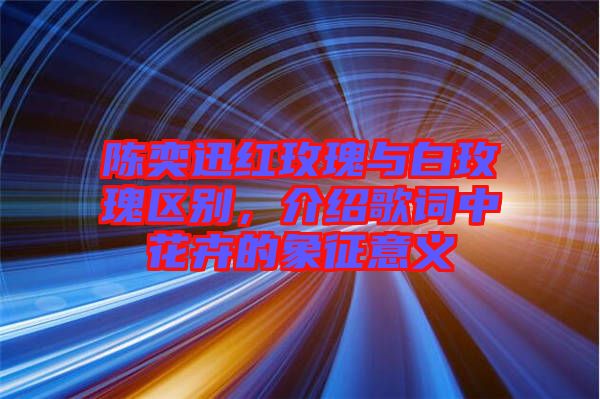 陳奕迅紅玫瑰與白玫瑰區別,介紹歌詞中花卉的象征意義