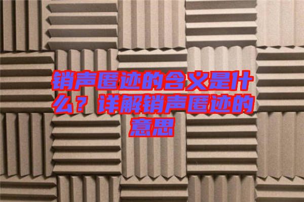 銷聲匿跡的含義是什么?詳解銷聲匿跡的意思