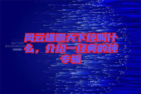 風(fēng)云雄霸天下純叫什么,介紹一經(jīng)典的純專(zhuān)輯