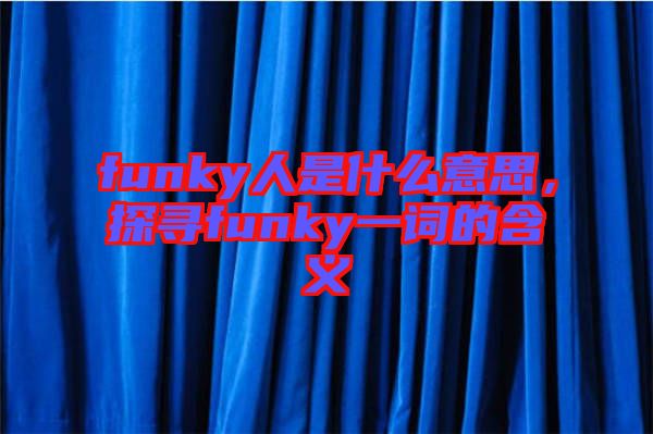 funky人是什么意思,探尋funky一詞的含義