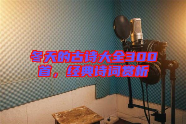 冬天的古詩(shī)大全300首,經(jīng)典詩(shī)詞賞析