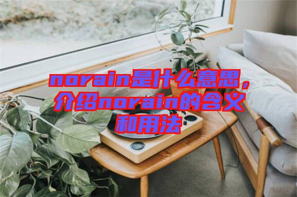 norain是什么意思,介紹norain的含義和用法