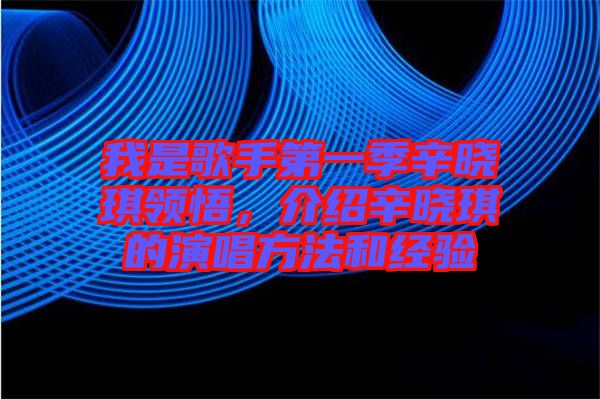 我是歌手第一季辛曉琪領悟,介紹辛曉琪的演唱方法和經驗