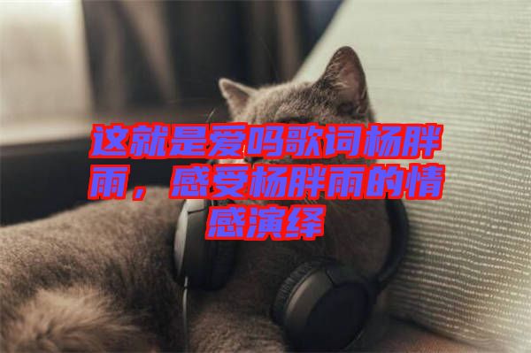 這就是愛嗎歌詞楊胖雨,感受楊胖雨的情感演繹