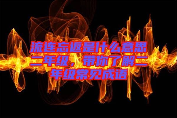 流連忘返是什么意思二年級,帶你了解二年級常見成語