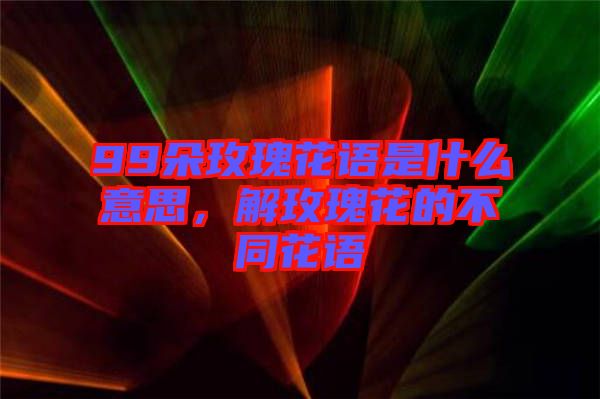 99朵玫瑰花語是什么意思,解玫瑰花的不同花語