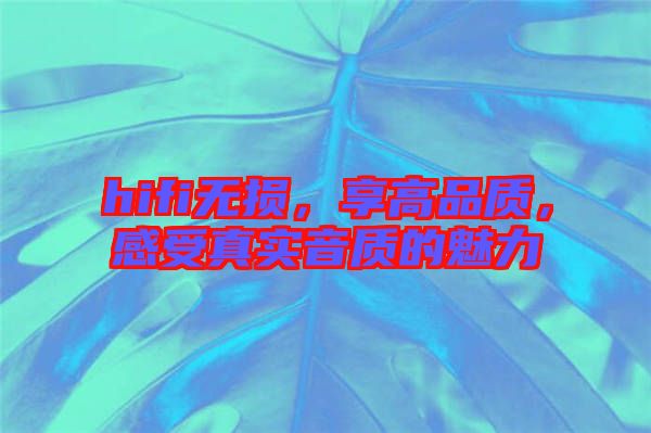 hifi無損,享高品質,感受真實音質的魅力