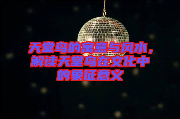 天堂鳥的寓意與風水,解讀天堂鳥在文化中的象征意義