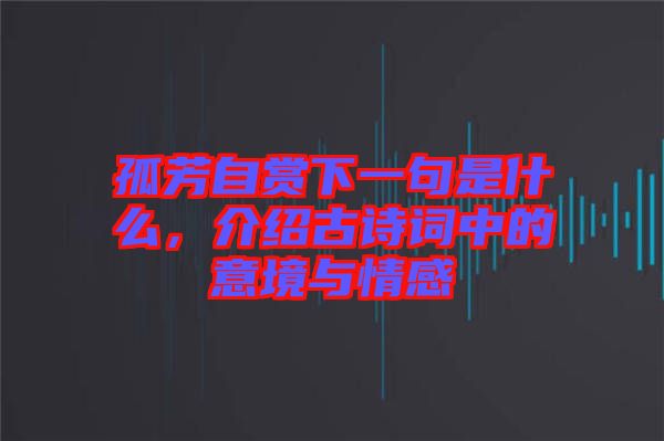 孤芳自賞下一句是什么,介紹古詩詞中的意境與情感