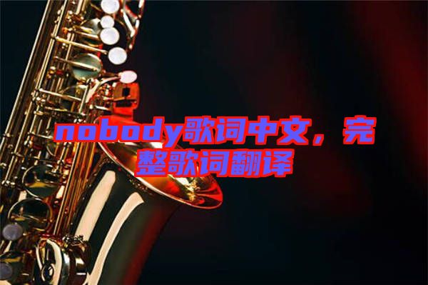 nobody歌詞中文,完整歌詞翻譯