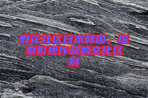 野花社區(qū)日本韓國,探索影視作品的文化區(qū)別