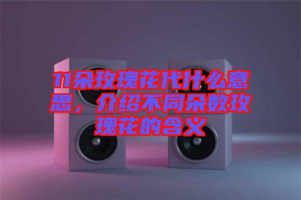 11朵玫瑰花代什么意思,介紹不同朵數玫瑰花的含義