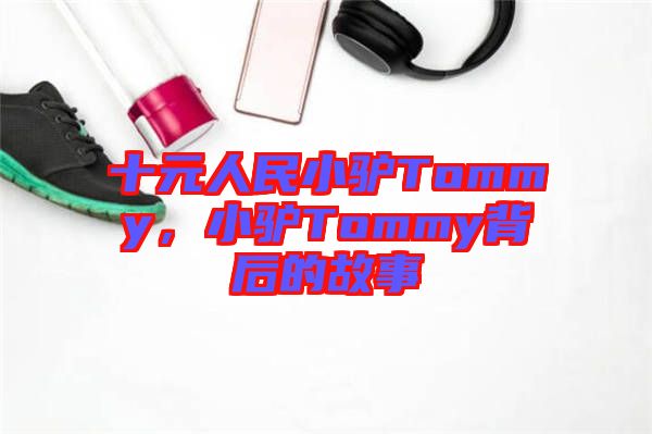 十元人民小驢Tommy,小驢Tommy背后的故事