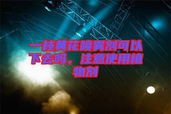 一枝黃花噴霧劑可以下去嗎,注意使用植物劑