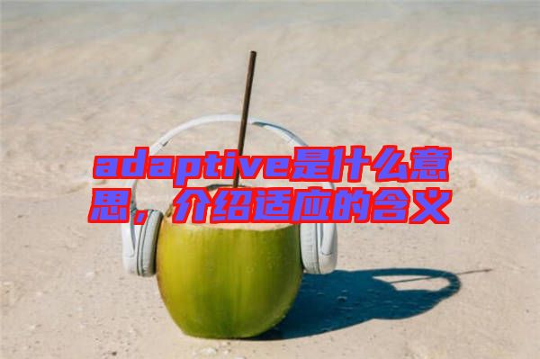 adaptive是什么意思,介紹適應的含義
