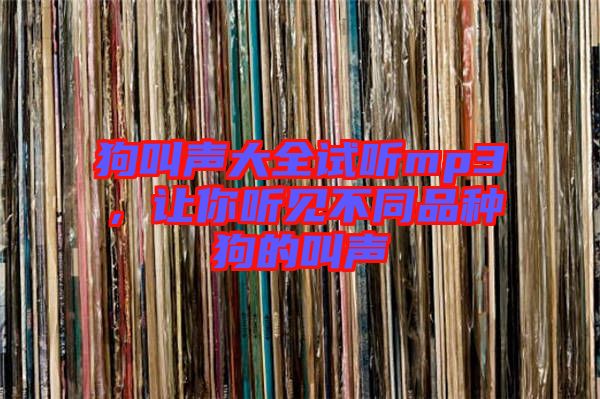 狗叫聲大全試聽mp3,讓你聽見不同品種狗的叫聲