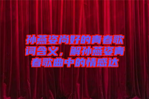 孫燕姿尚好的青春歌詞含義,解孫燕姿青春歌曲中的情感達