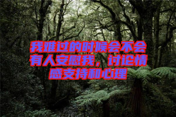 我難過的時(shí)候會(huì)不會(huì)有人安慰我，討論情感支持和心理