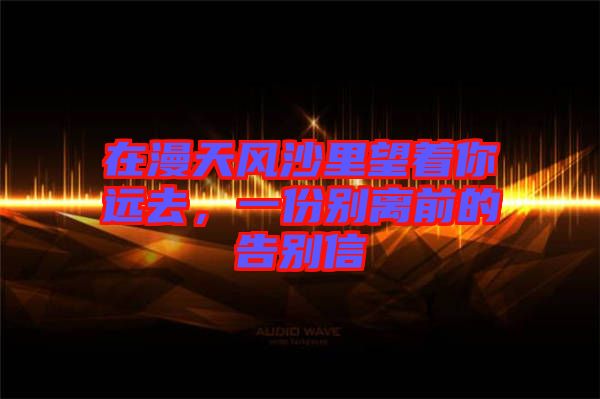 在漫天風沙里望著你遠去,一份別離前的告別信