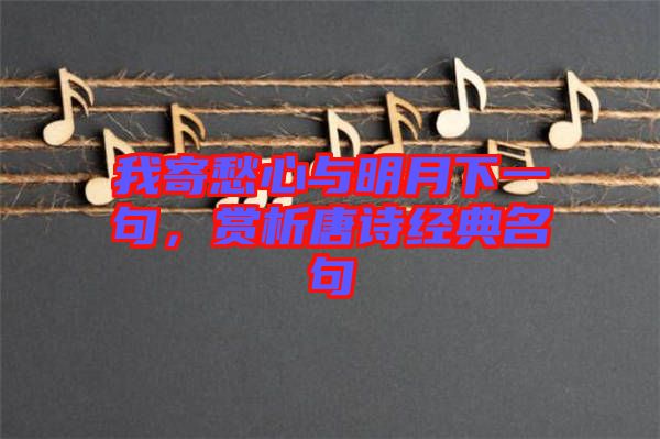 我寄愁心與明月下一句,賞析唐詩(shī)經(jīng)典名句