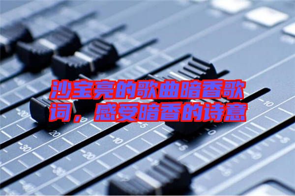 沙寶亮的歌曲暗香歌詞,感受暗香的詩意
