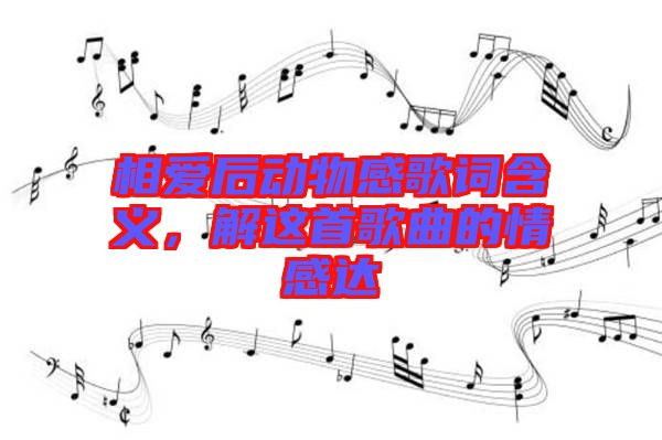 相愛后動物感歌詞含義,解這首歌曲的情感達(dá)