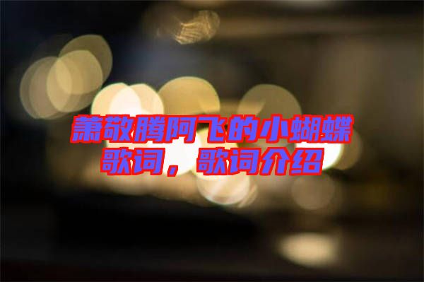 蕭敬騰阿飛的小蝴蝶歌詞,歌詞介紹
