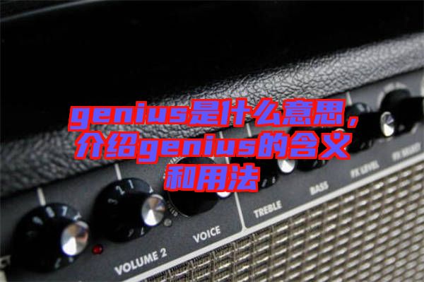 genius是什么意思,介紹genius的含義和用法