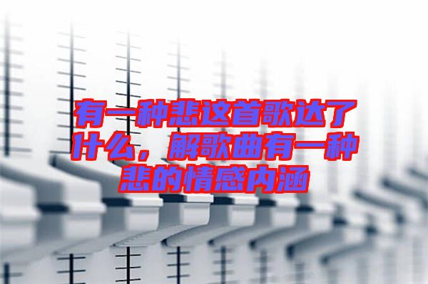有一種悲這首歌達了什么,解歌曲有一種悲的情感內(nèi)涵