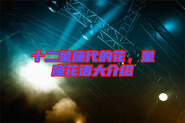 十二星座代的花,星座花語大介紹