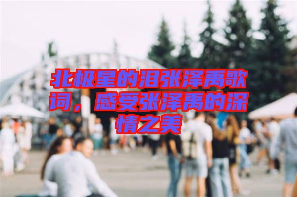 北極星的淚張澤禹歌詞,感受張澤禹的深情之美