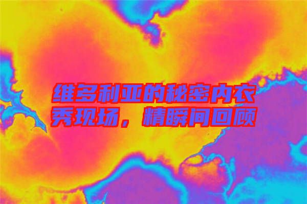 維多利亞的秘密內衣秀現場,精瞬間回顧