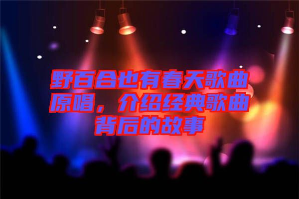 野百合也有春天歌曲原唱,介紹經(jīng)典歌曲背后的故事