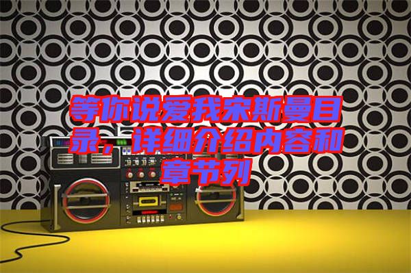 等你說愛我宋斯曼目錄,詳細介紹內(nèi)容和章節(jié)列