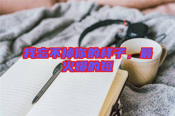 我忘不掉你的樣子,最火爆的短