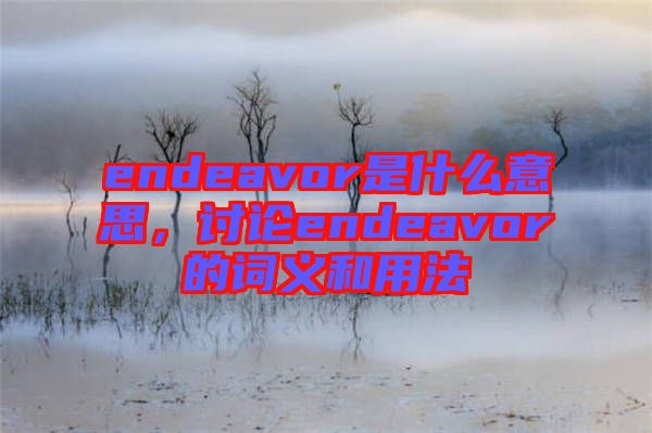 endeavor是什么意思,討論endeavor的詞義和用法